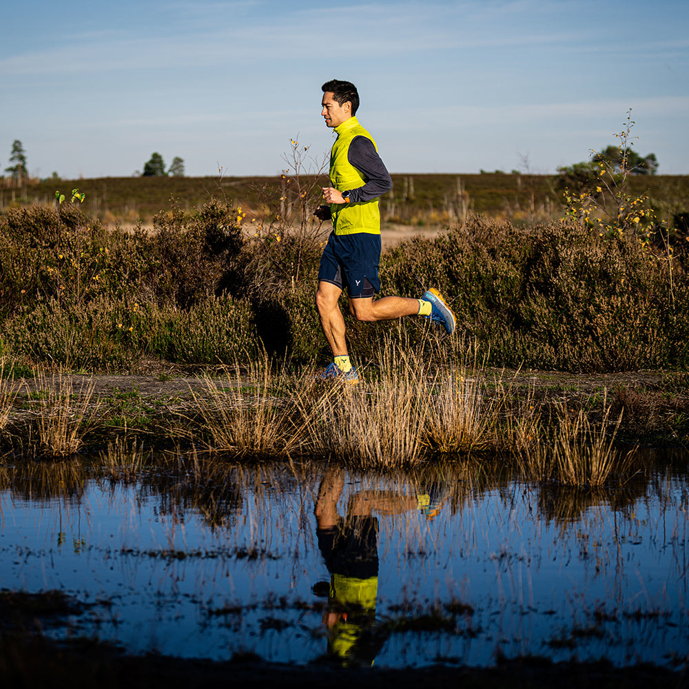 Mens Boreas Gilet (Citron) | Flyte